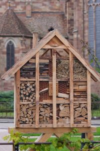 bee-hotel-7530569_960_720.jpg