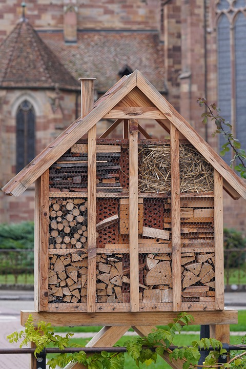 bee-hotel-7530569_960_720.jpg