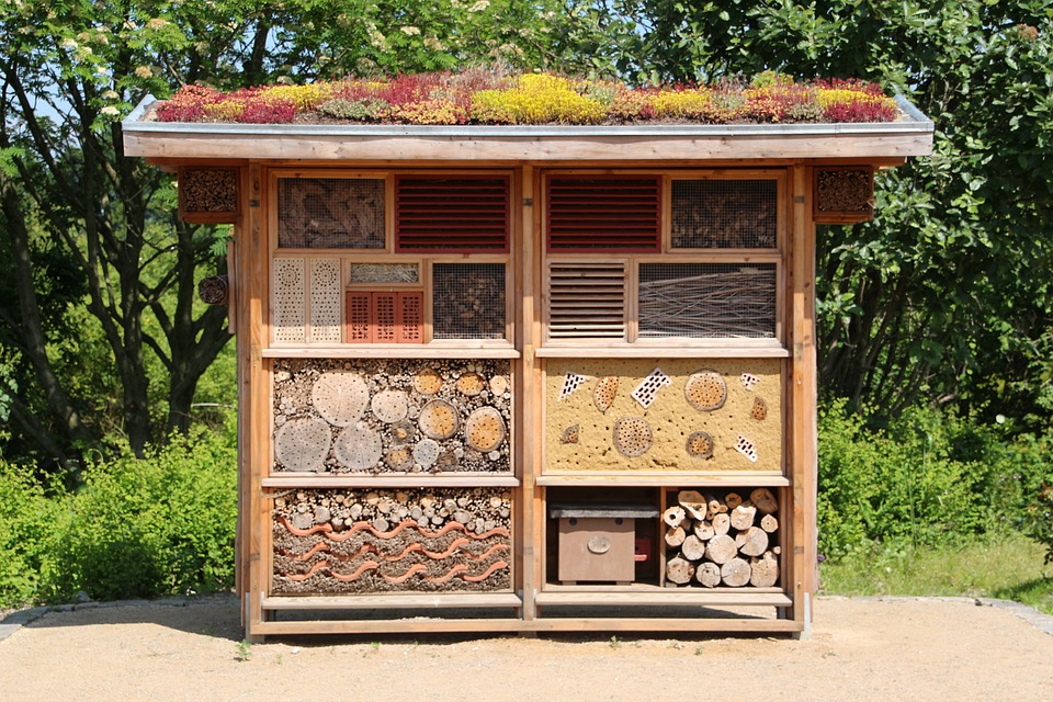 insect-house-598354_960_720.jpg