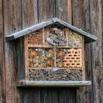 bee-hotel-4507717_960_720.jpg