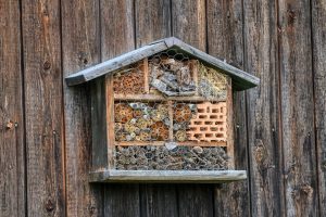 bee-hotel-4507717_960_720.jpg