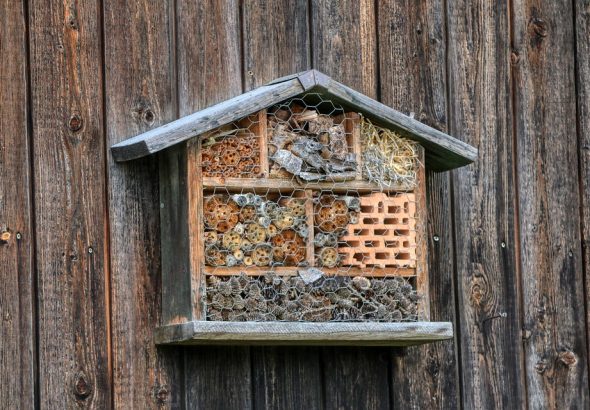 bee-hotel-4507717_960_720.jpg